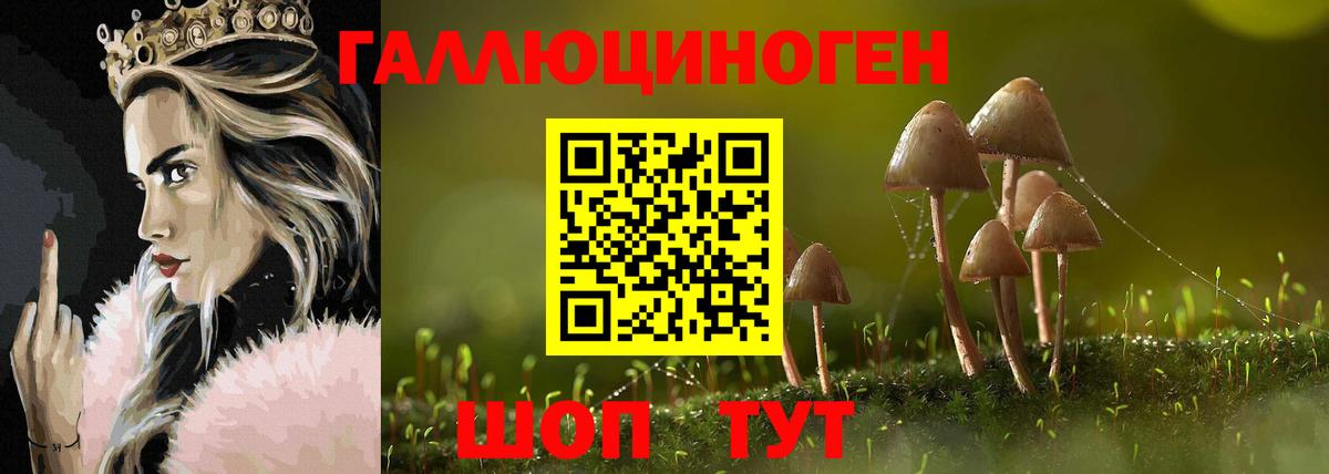 Псилоцибиновые грибы мухоморы Крымск