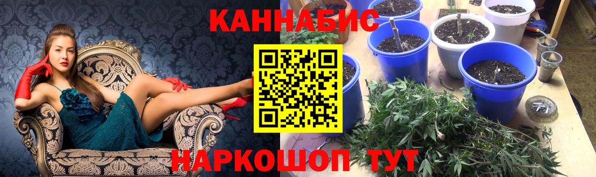 Марихуана план  Конопля OG Kush  Крымск  Вход с VPN  Шишки марихуана Ganja 