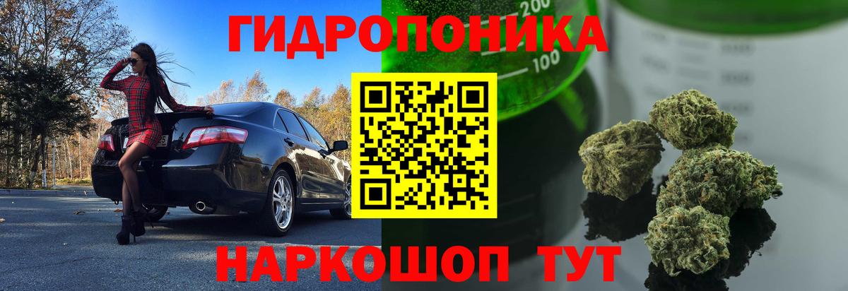 Шишки марихуана планчик Крымск